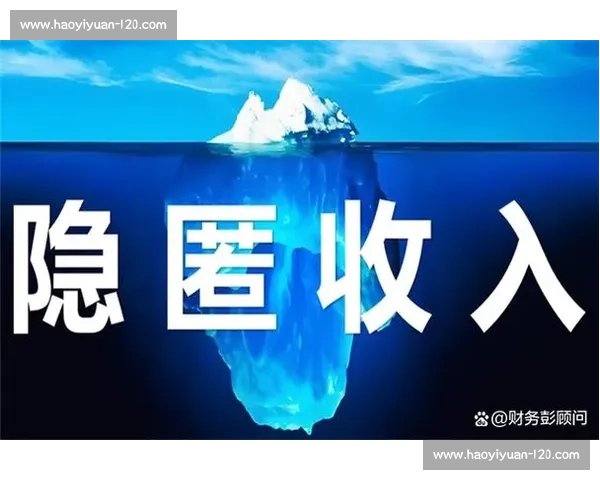 高姐收入揭秘：从行业分析到收入来源全面解析